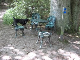 Random chairs and table